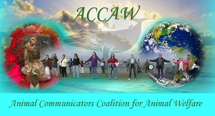 Animal Communicators Coalition for Animal Welfare